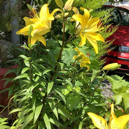 N G Luxury At No 2 度假居 *